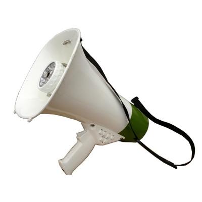ভিডিও মেগাফোন